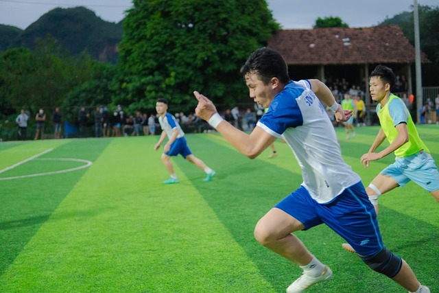 为中国南方 为中国南方