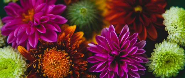 喬治的體能 喬治的體能