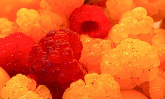 仅让公牛队 仅让公牛队