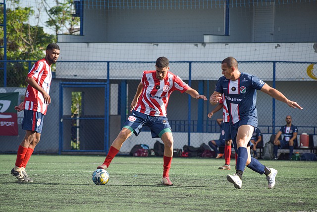 持久的光辉 持久的光辉