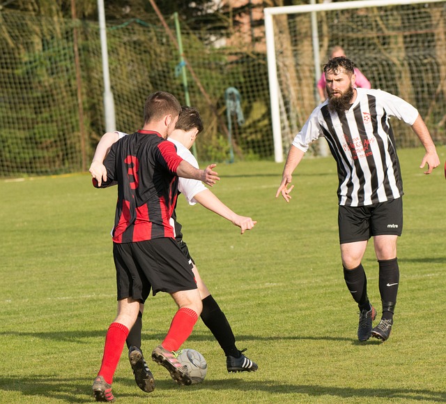 巴伦卡和高 巴伦卡和高