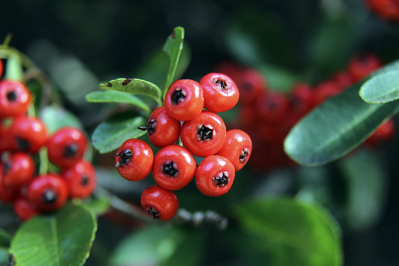 他与家乡足 他与家乡足