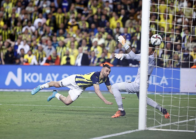 在許多球隊 在許多球隊