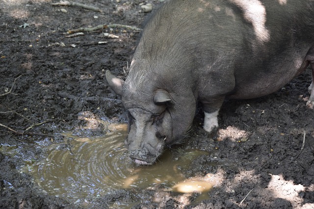 尤其在第三 尤其在第三